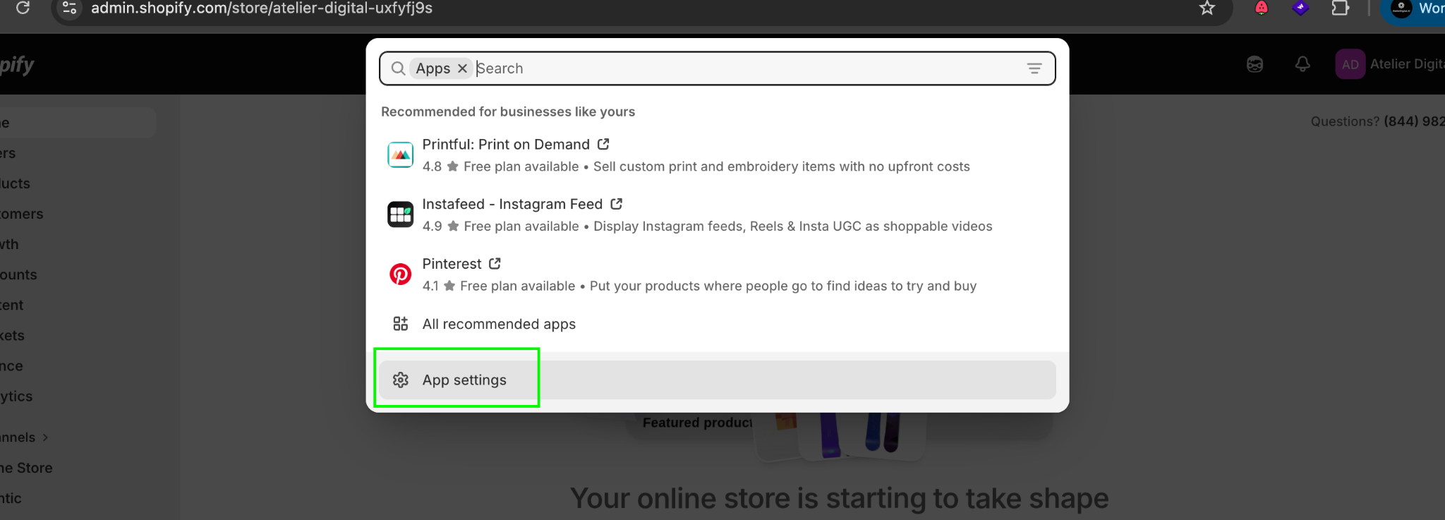 App settings in the Apps panel